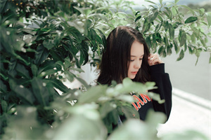 上海出口产业的转型与升级 上海出口产业的转型与升级